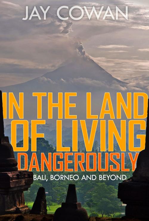 Cover of the book In the Land of Living Dangerously by Jay Cowan, Monsoon Books Pte. Ltd.