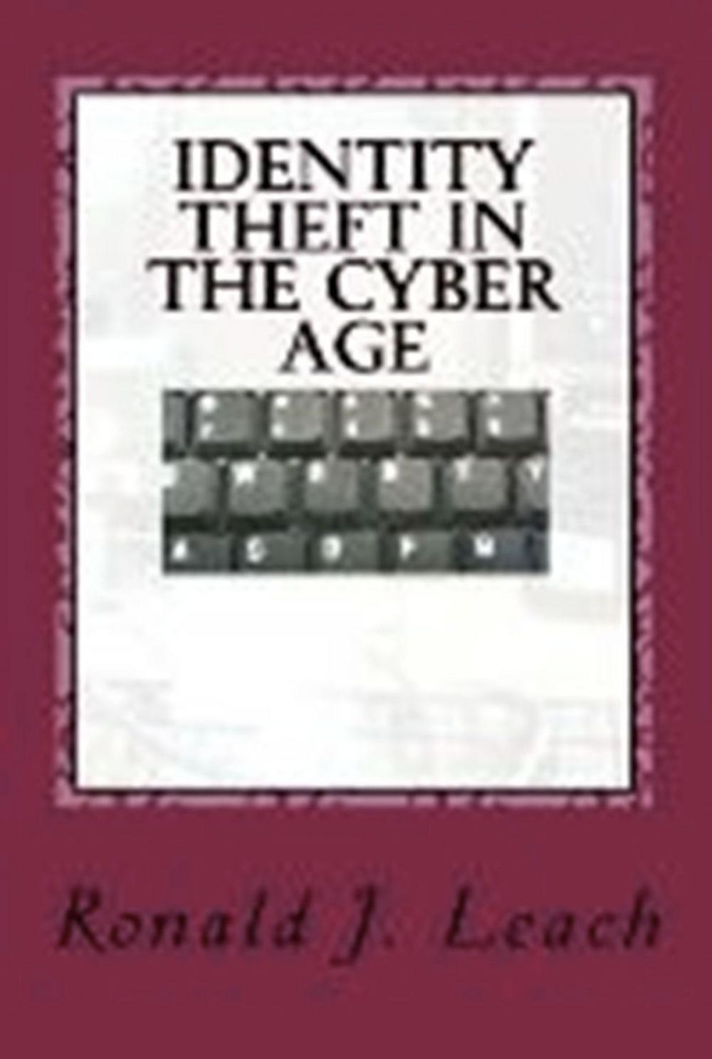 Big bigCover of Identity Theft in the Cyber Age