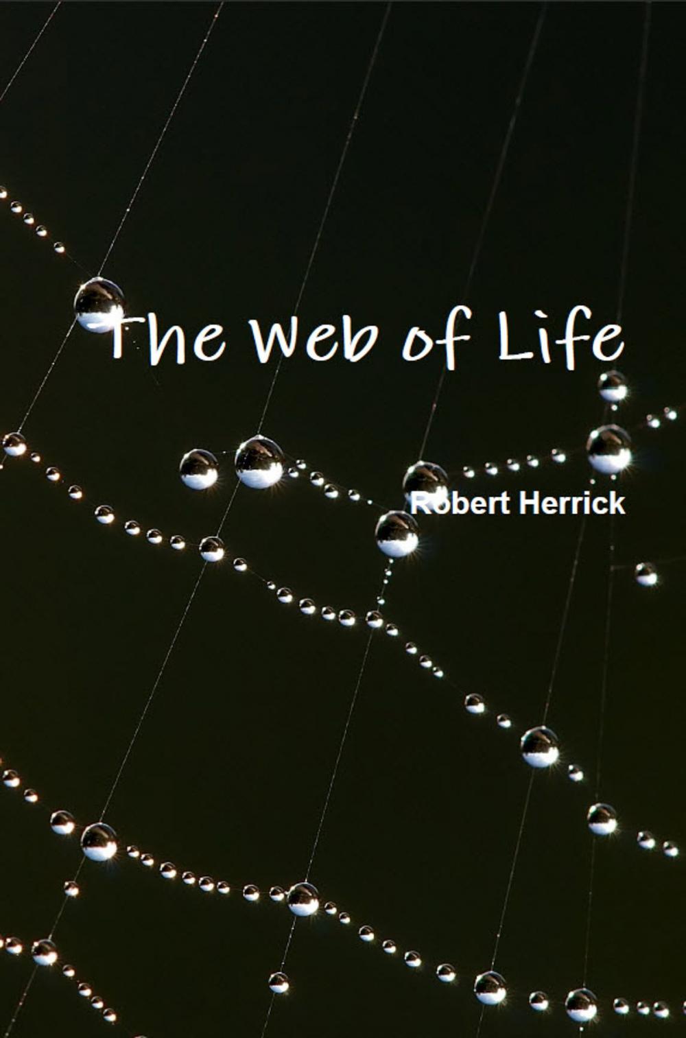 Big bigCover of The Web of Life