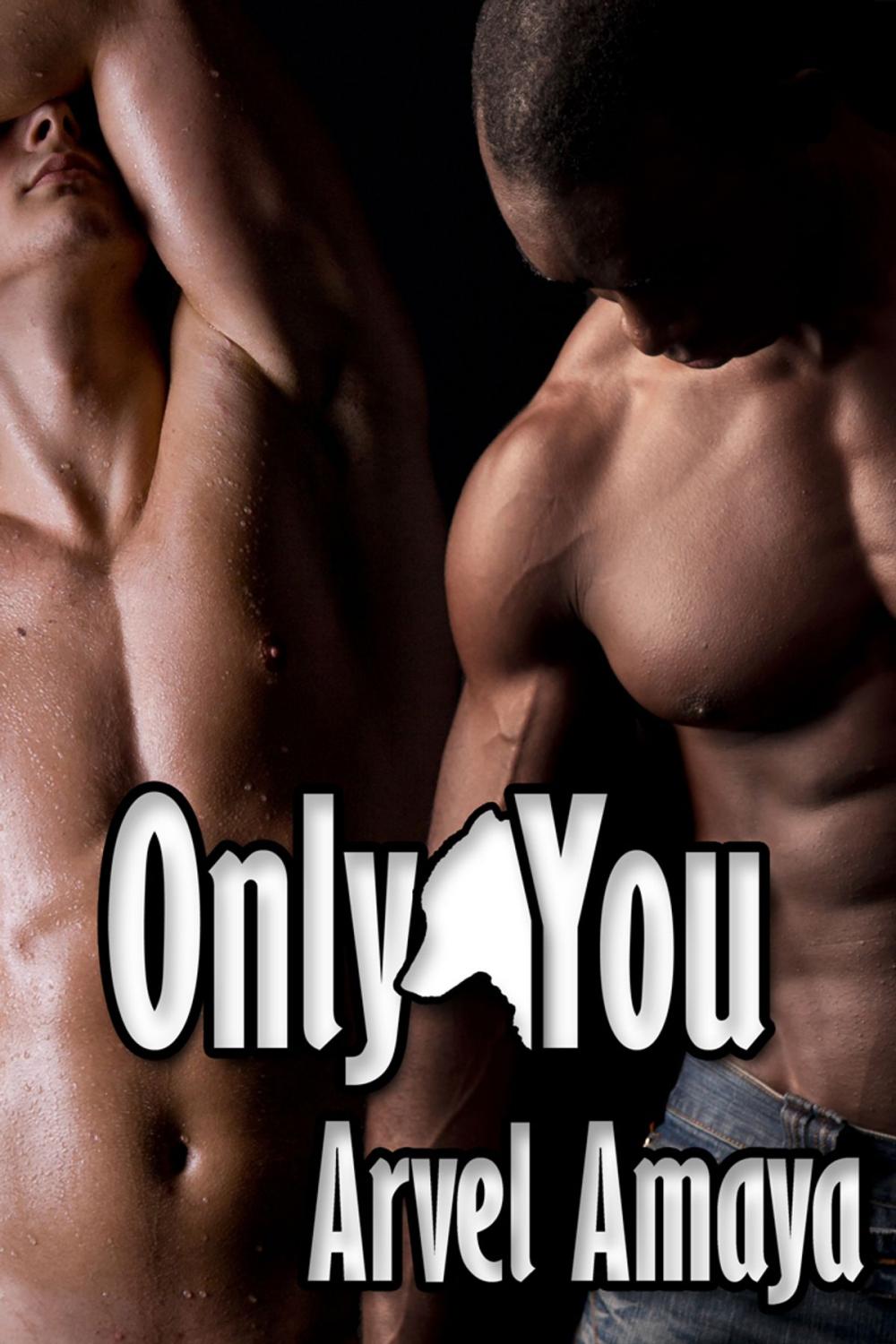 Big bigCover of Only You - A Gay Werewolf Romance