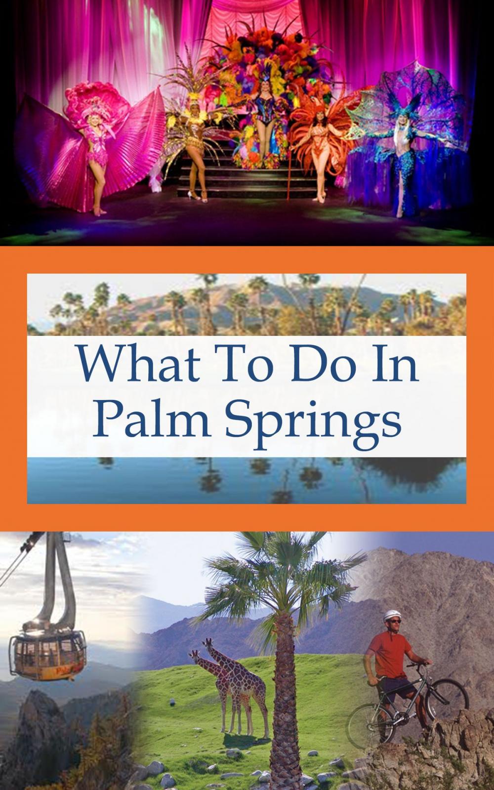 Big bigCover of What To Do In Palm Springs