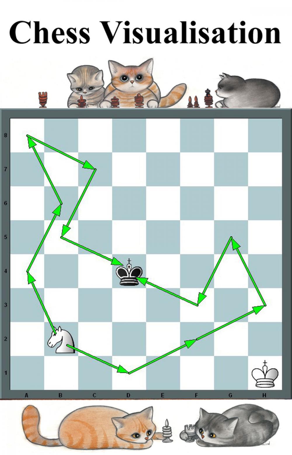 Big bigCover of Chess Visualization