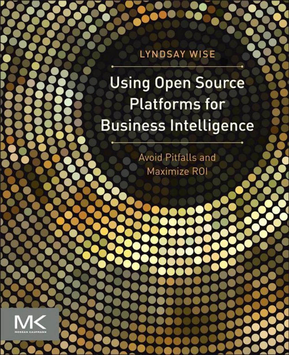 Big bigCover of Using Open Source Platforms for Business Intelligence