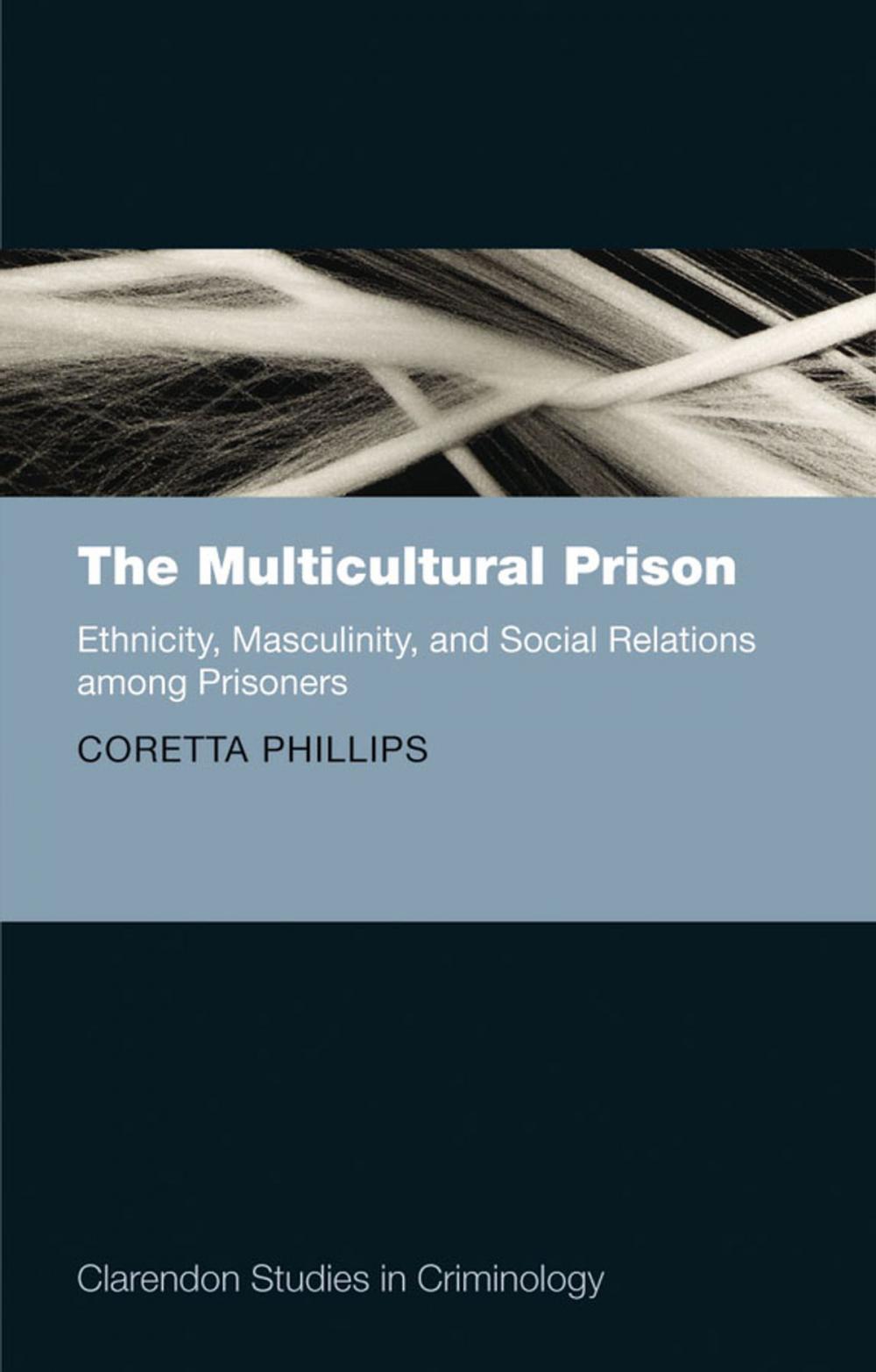 Big bigCover of The Multicultural Prison