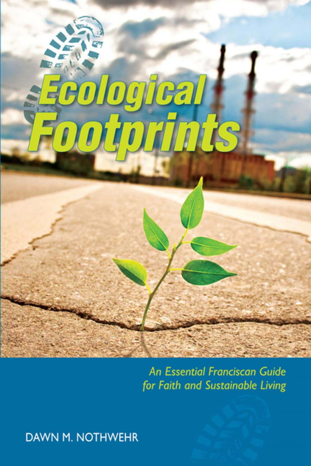 Big bigCover of Ecological Footprints