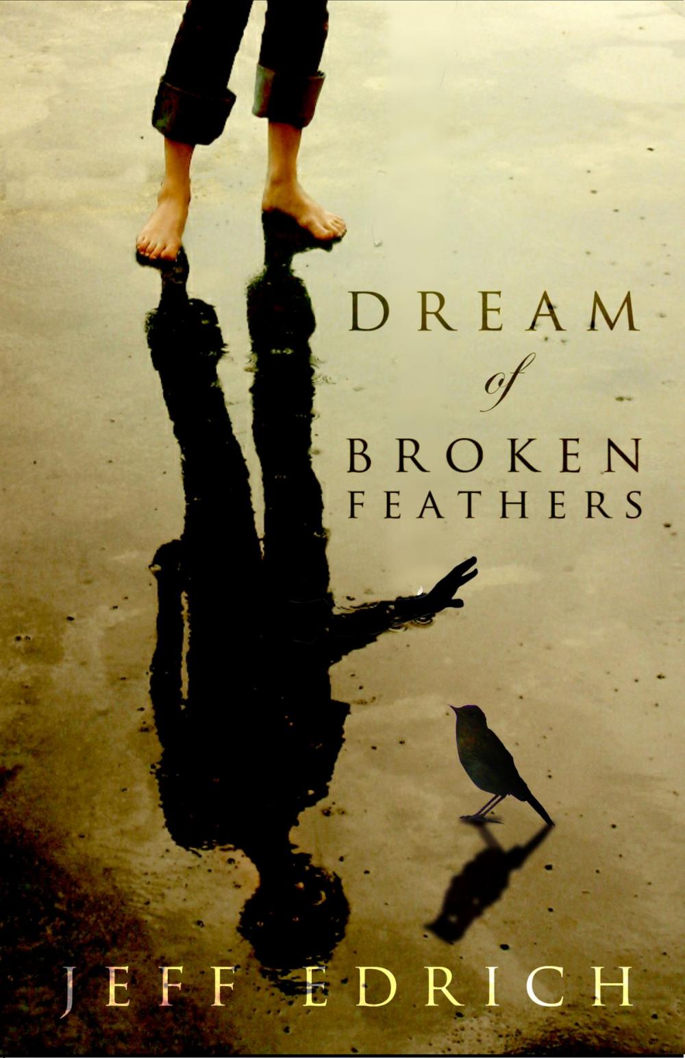 Big bigCover of Dream of Broken Feathers