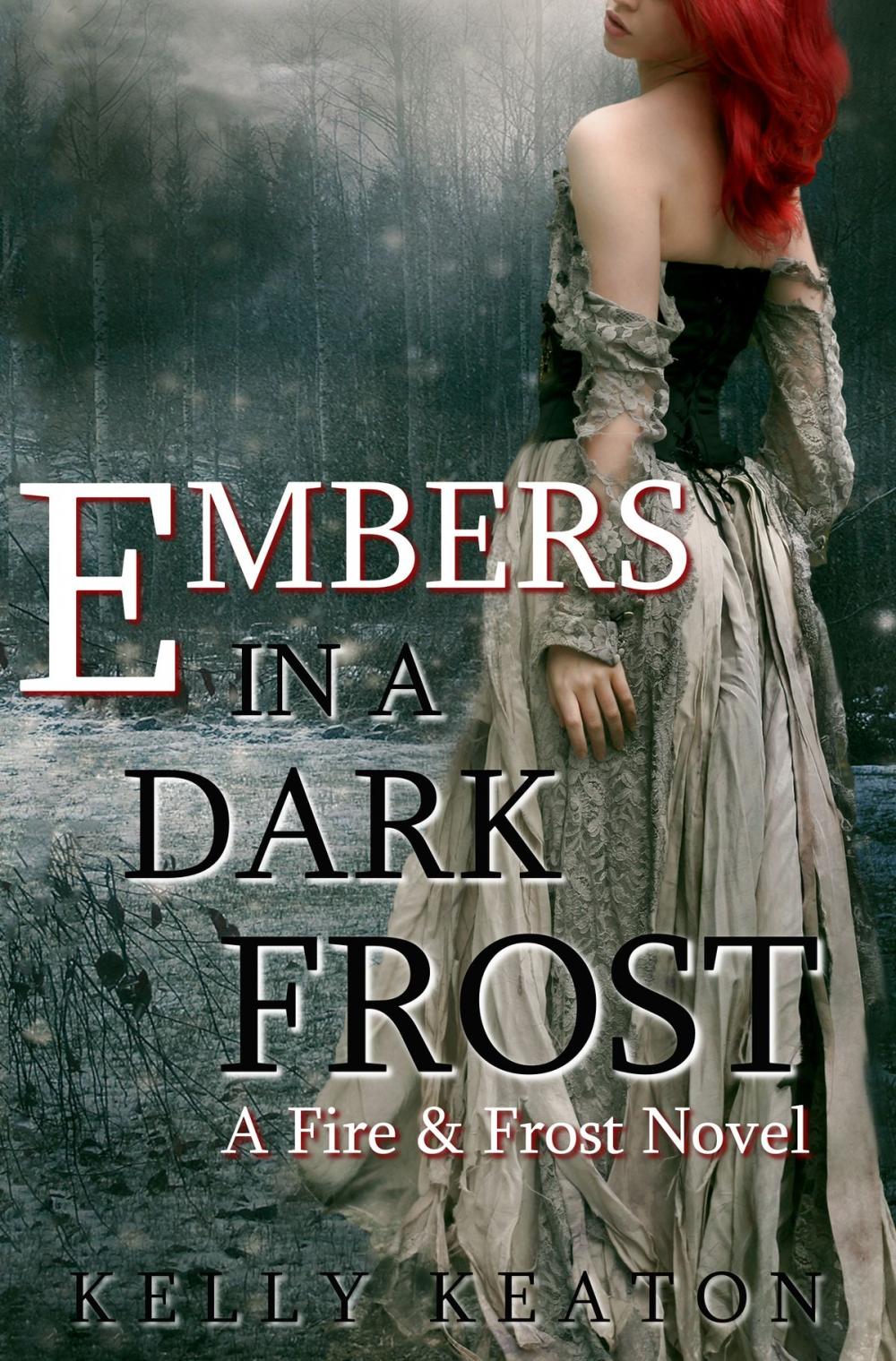 Big bigCover of Embers in a Dark Frost