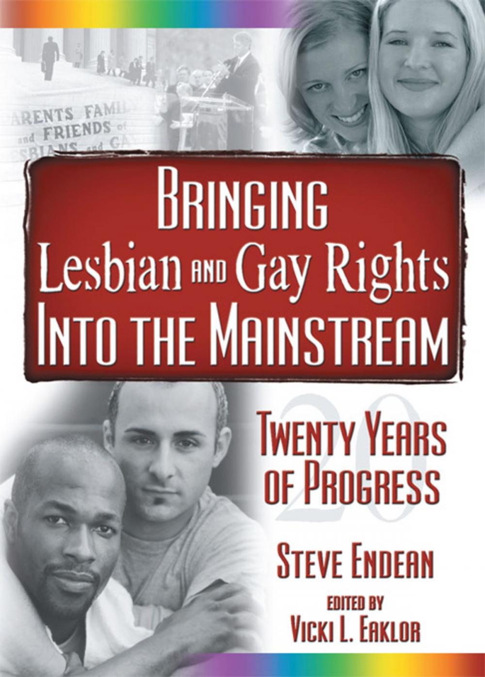 Big bigCover of Bringing Lesbian and Gay Rights Into the Mainstream