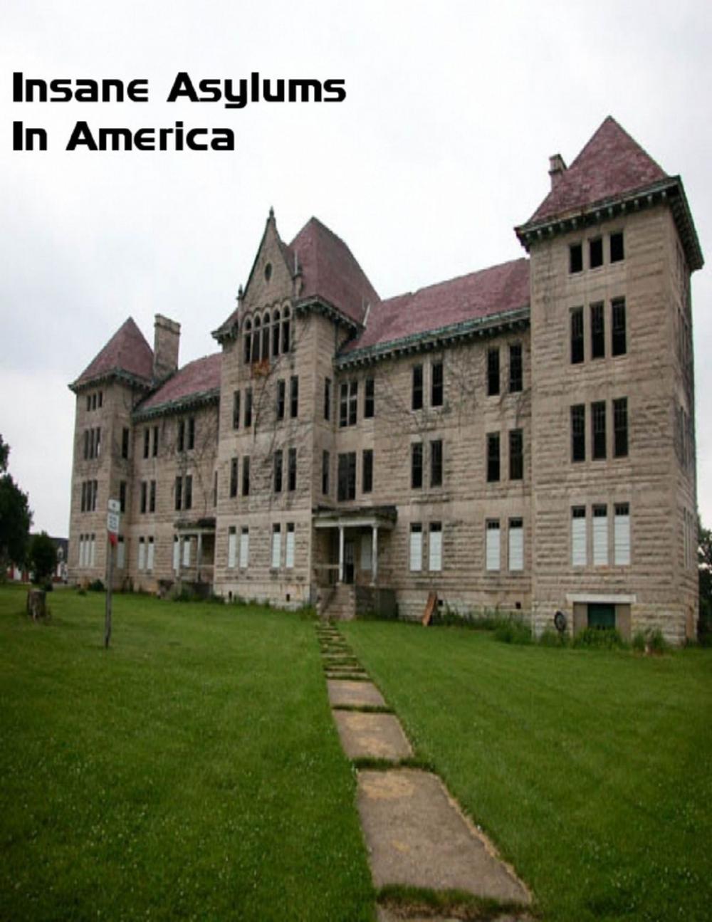 Big bigCover of Insane Asylums In America