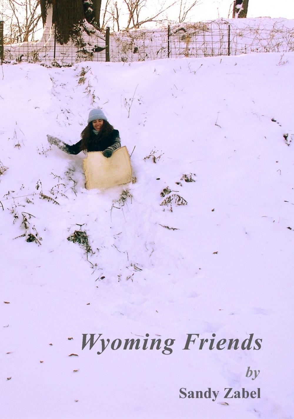 Big bigCover of Wyoming Friends