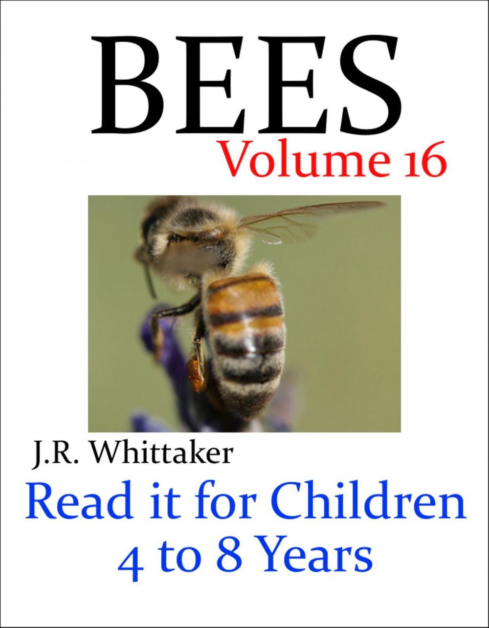 Big bigCover of Bees (Read it book for Children 4 to 8 years)