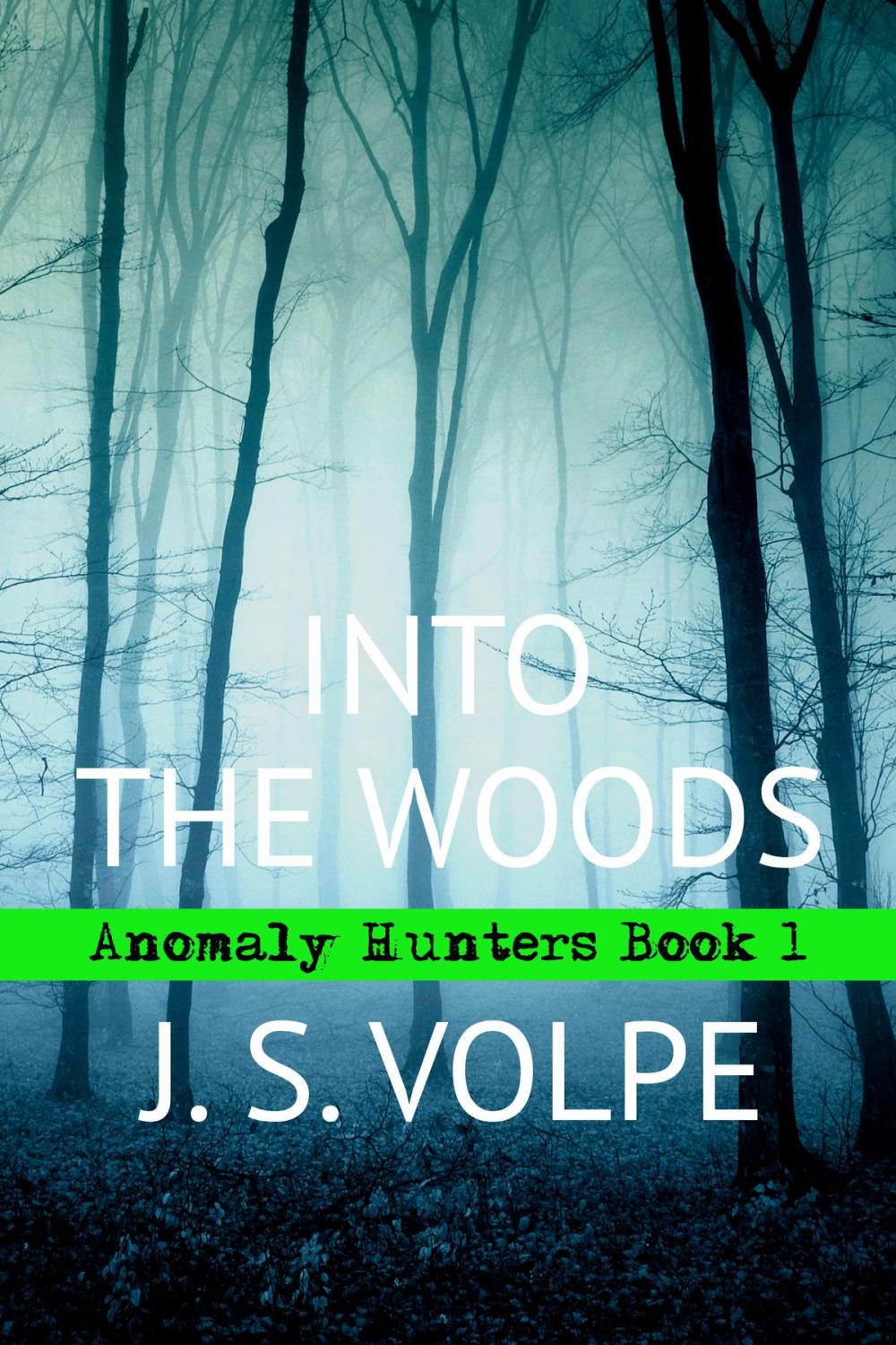 Big bigCover of Into the Woods (Anomaly Hunters, Book One)