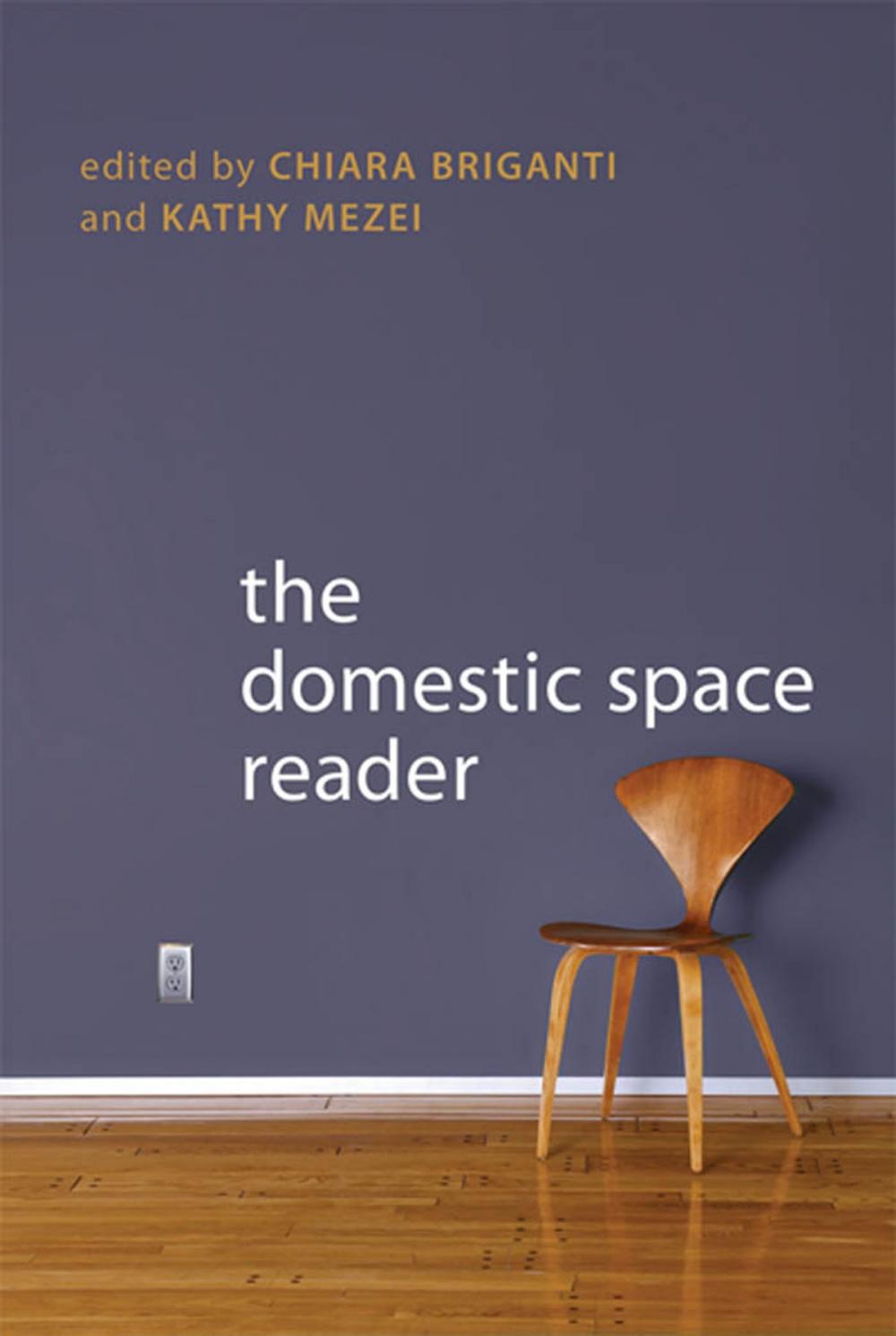Big bigCover of The Domestic Space Reader