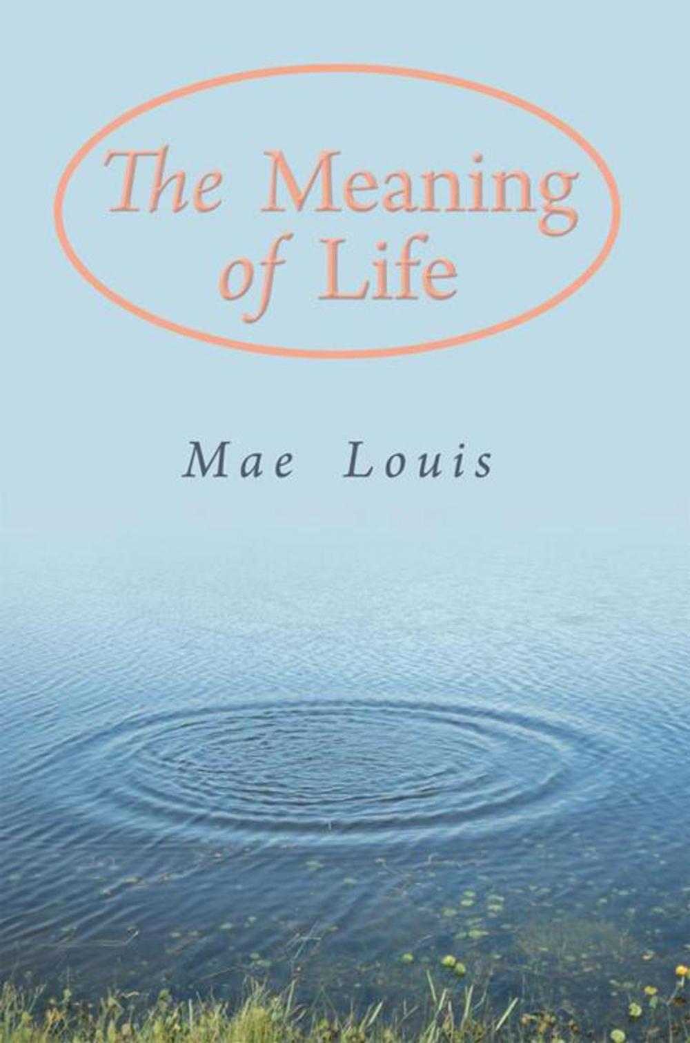Big bigCover of The Meaning of Life