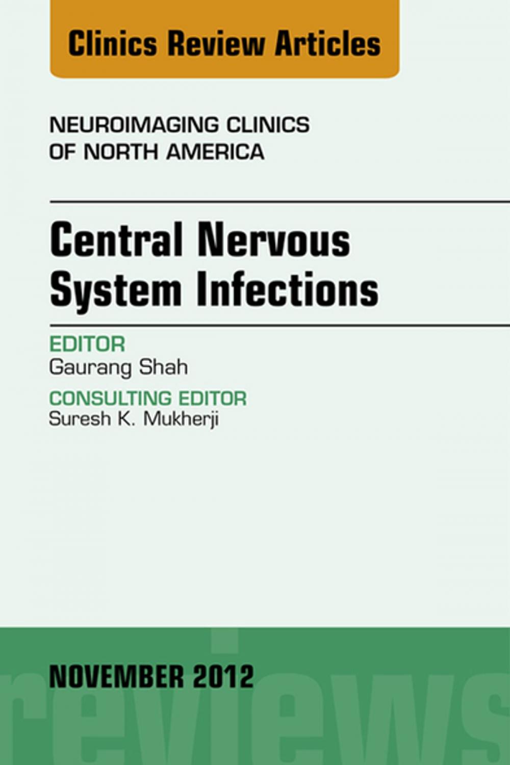 Big bigCover of Central Nervous System Infections, An Issue of Neuroimaging Clinics - E-Book