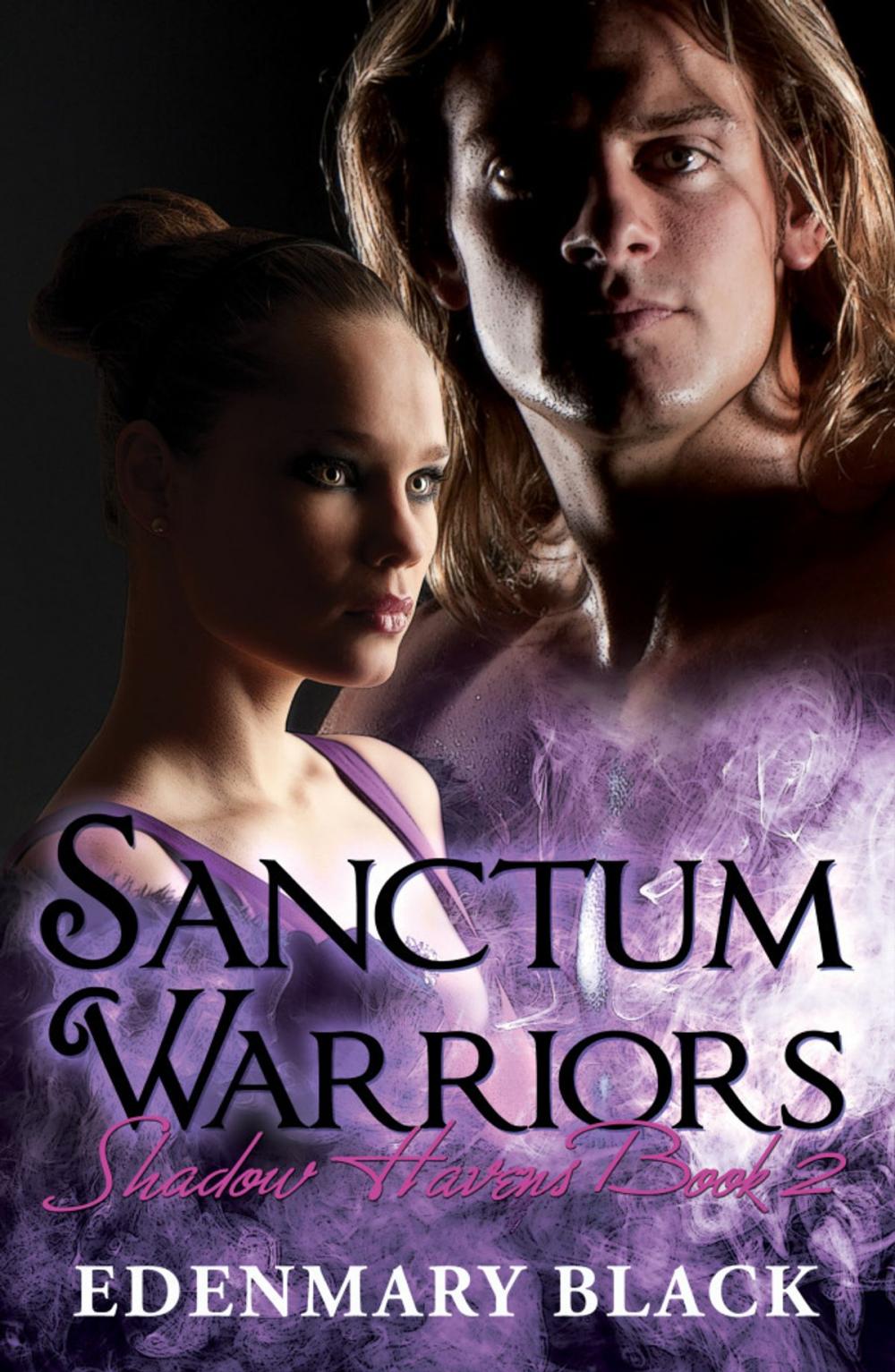 Big bigCover of Sanctum Warriors: Shadow Havens Book 2