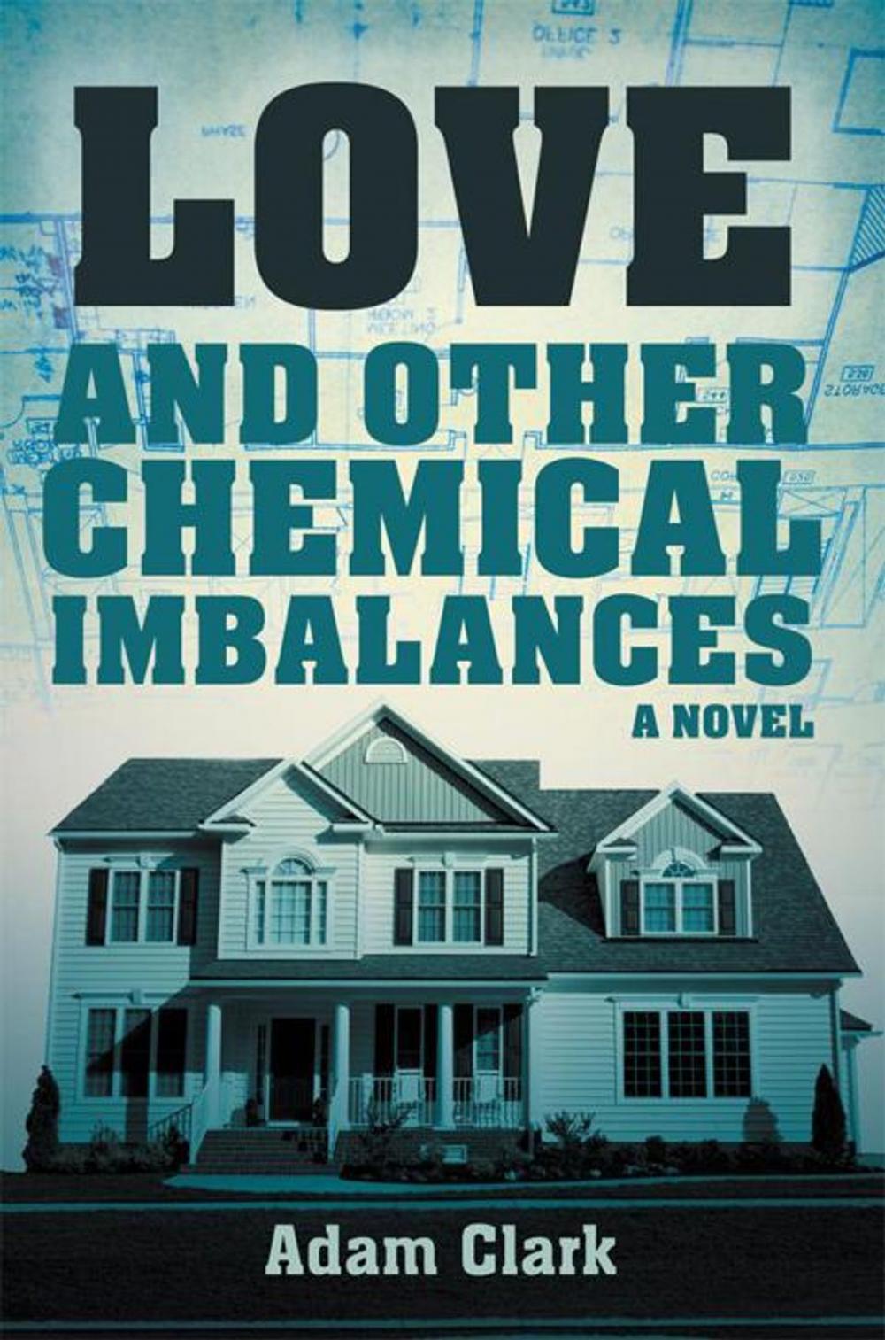 Big bigCover of Love and Other Chemical Imbalances