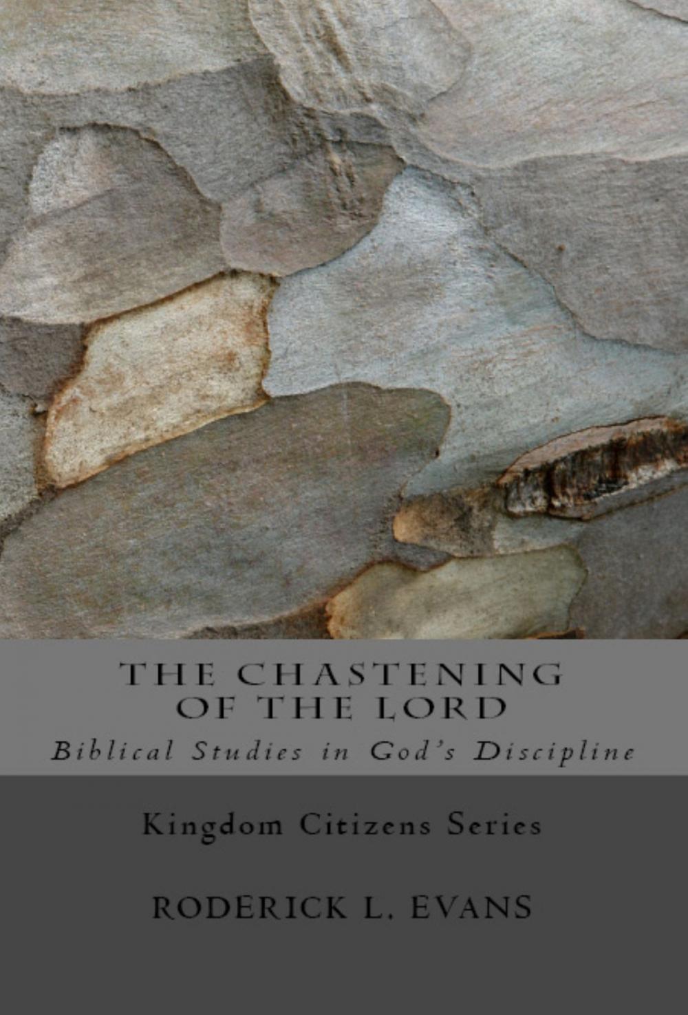 Big bigCover of The Chastening of the Lord: Biblical Studies in God's Discipline