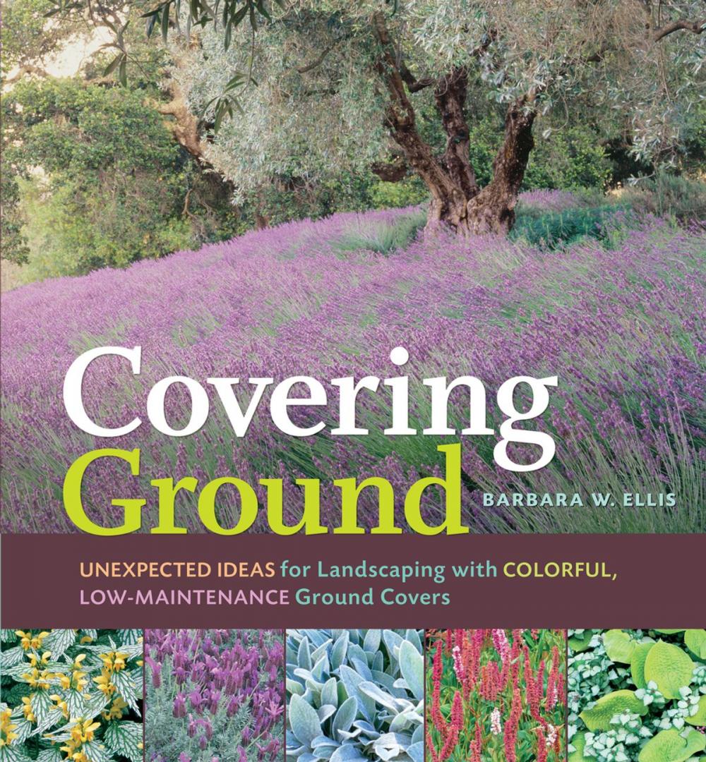 Big bigCover of Covering Ground