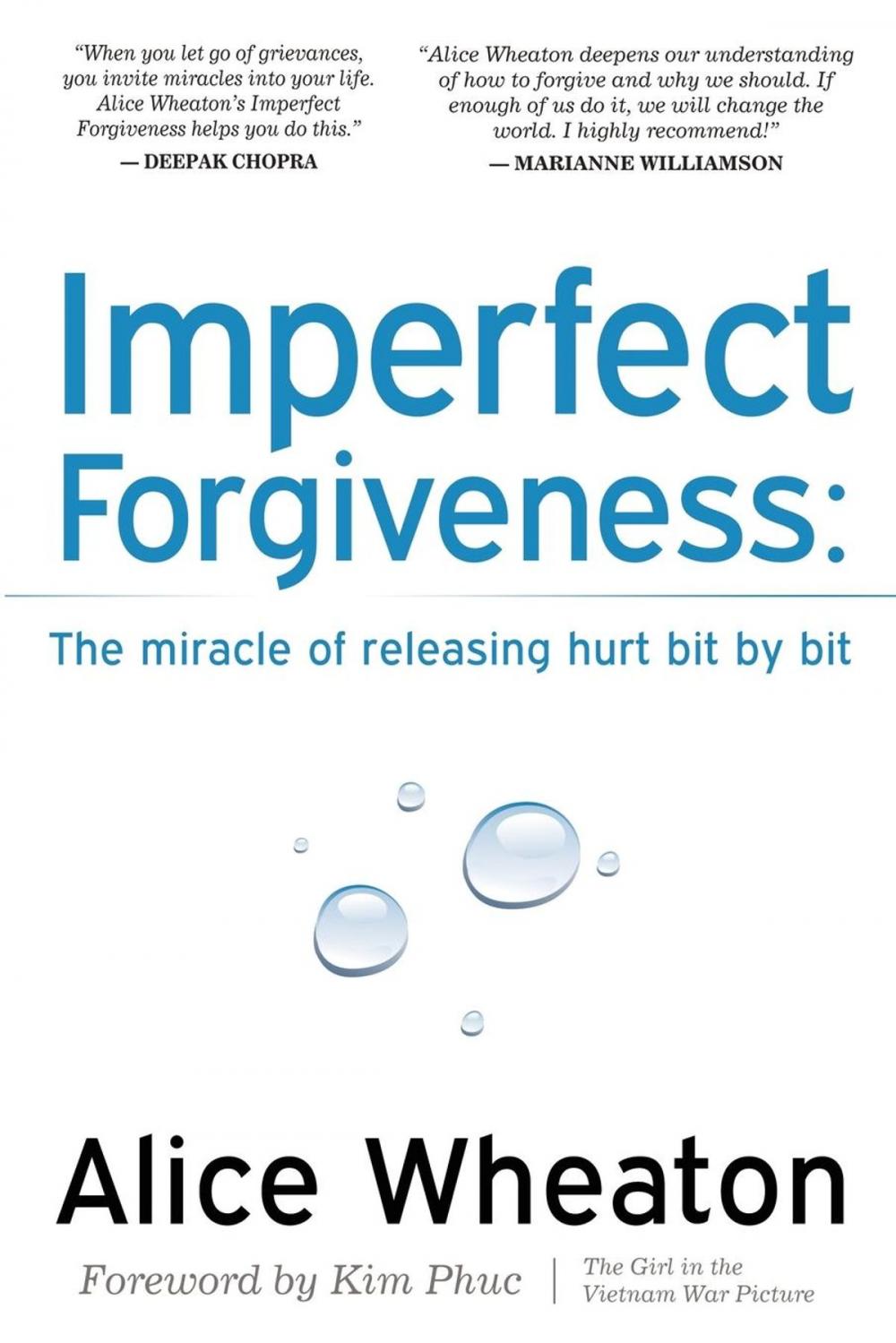 Big bigCover of Imperfect Forgiveness