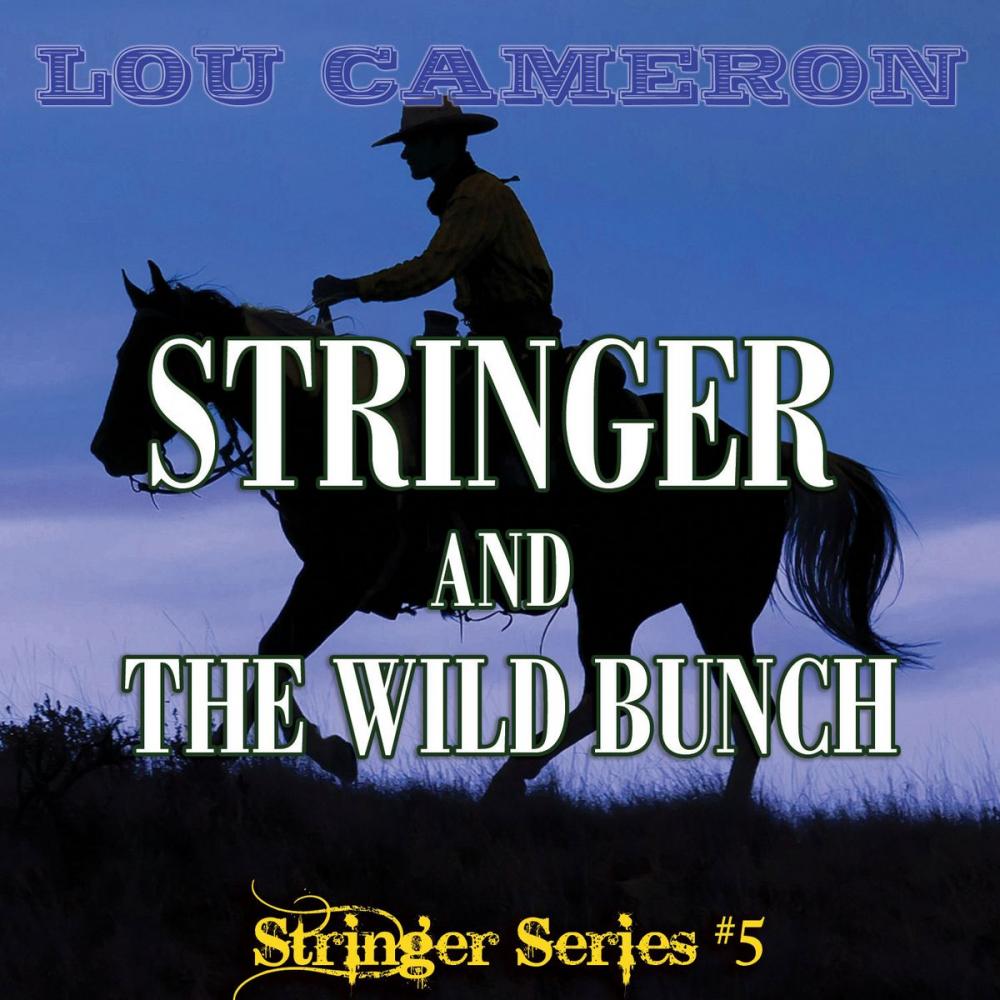 Big bigCover of Stringer and the Wild Bunch