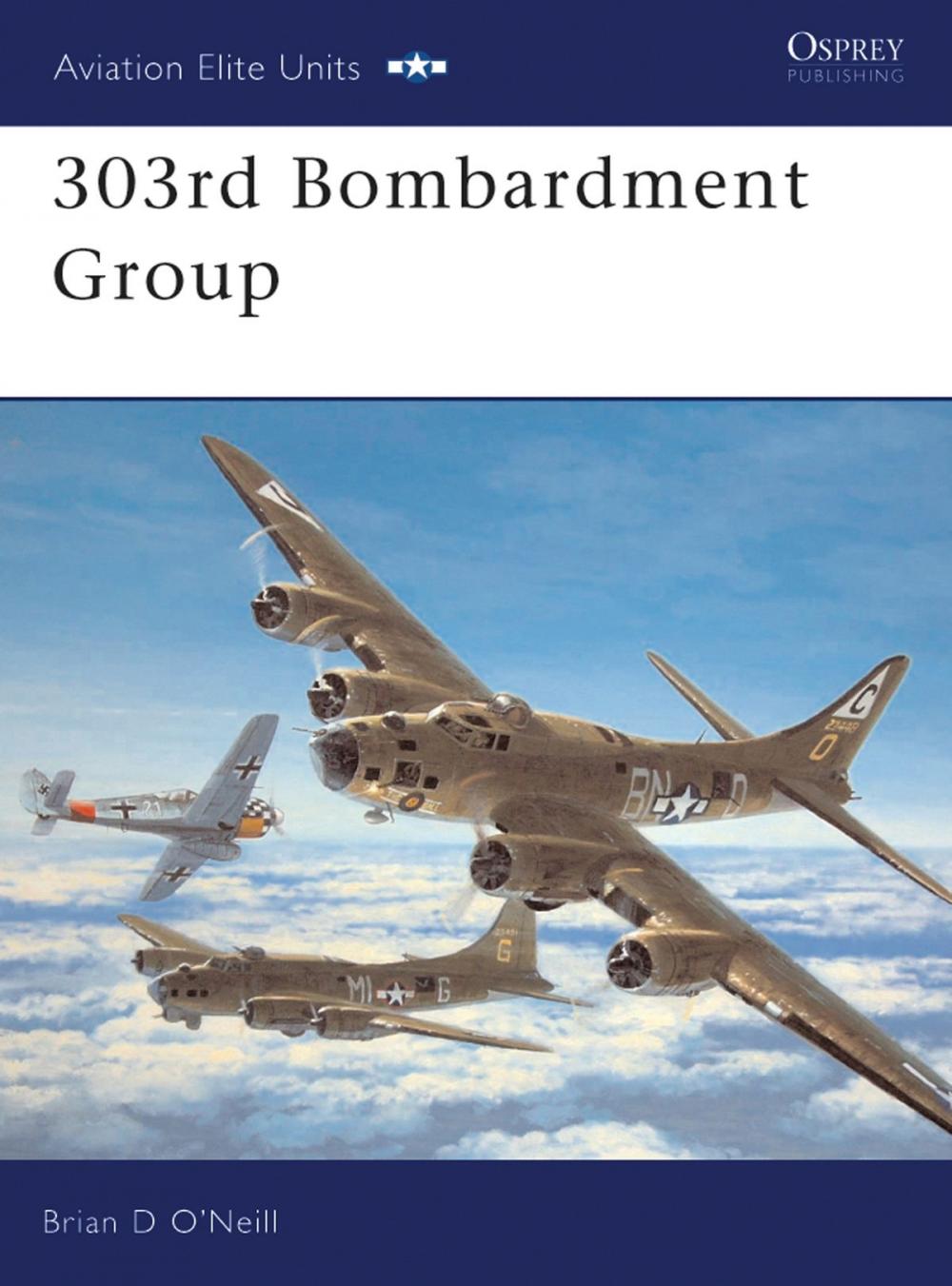 Big bigCover of 303rd Bombardment Group