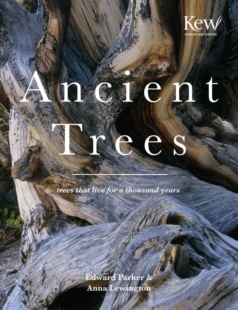 Big bigCover of Ancient Trees
