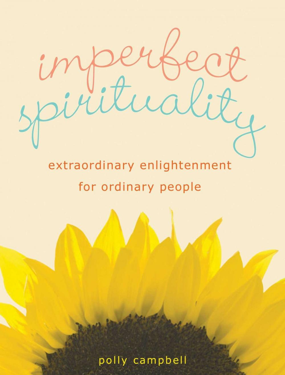 Big bigCover of Imperfect Spirituality