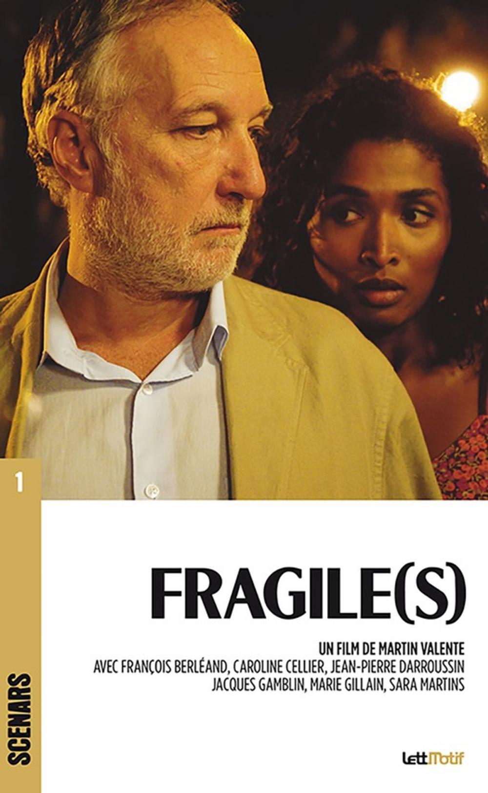 Big bigCover of Fragile(s)