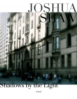 Cover of the book Shadows by the Light by John G. Hartness
