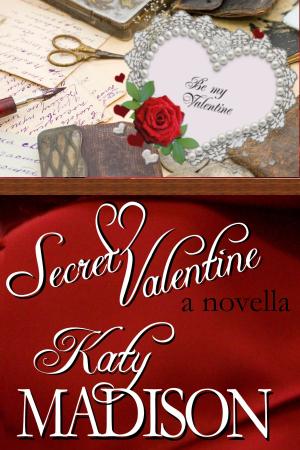 Cover of Secret Valentine