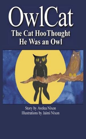 Cover of the book Owlcat: The Cat Hoo Thought He Was an Owl by Michael Curry