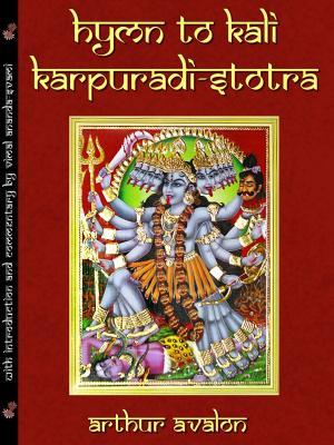 Cover of the book Hymn to Kali by Kanchan Kabra