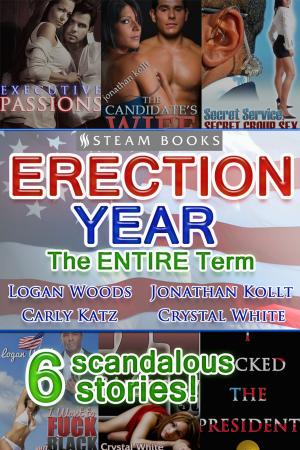 Cover of the book Erection Year: The ENTIRE Term by Jolie James, Steam Books