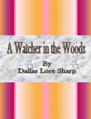Cover of the book A Watcher in the Woods by Herbert Strang