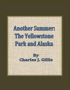 Cover of the book Another Summer: The Yellowstone Park and Alaska by Mabel Osgood Wright