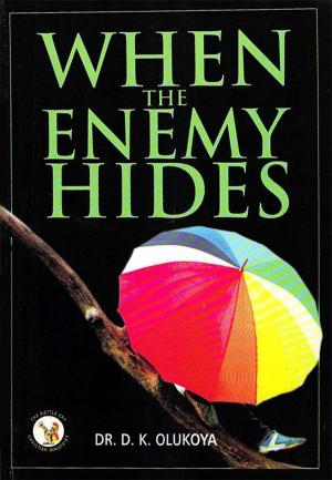 Cover of the book When the Enemy Hides by Dr. D. K. Olukoya