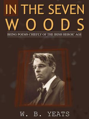 Book cover of In The Seven Woods