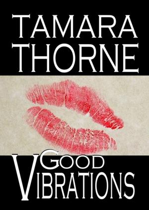 Cover of the book Good Vibrations by Marata Eros
