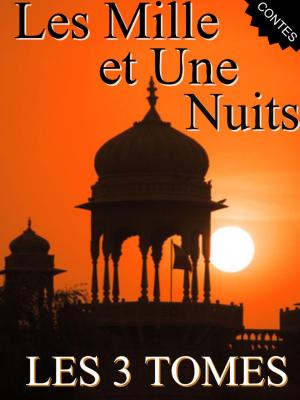 Cover of Les Mille et Une Nuit