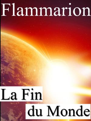 Cover of the book La fin du monde by Anonyme