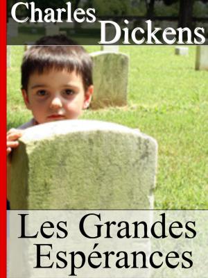 Cover of the book Les Grandes espérances by MACHIAVEL