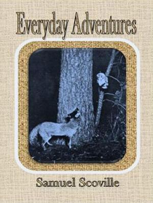 Cover of the book Everyday Adventures by T. A. Coward