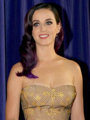 Cover of the book The Unofficial Katy Perry Biography by Margie Erikson