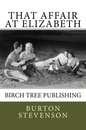 Book cover of That Affair at Elizabeth