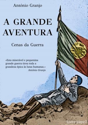 Cover of the book A grande aventura by Alexandre Dumas