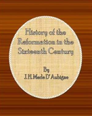 Cover of the book History of the Reformation in the Sixteenth Century by WALTER W. BRYANT