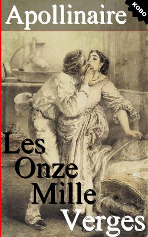 Cover of the book Les Onze mille verges ou les Amours d'un hospodar by Gaston Leroux