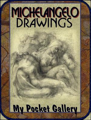 Book cover of Michelangelo Drawings