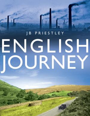 bigCover of the book English Journey by 